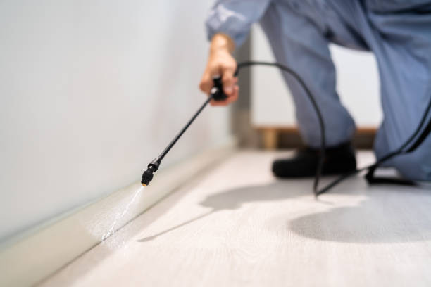 Licensed Pest Control service in Endicott, NY - Show Me Pest Control