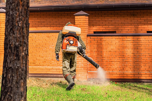Bed Bug Clearance Verification and Documentation in Endicott